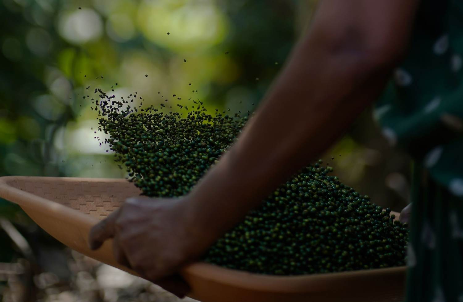 Zanzibar spice farm tour